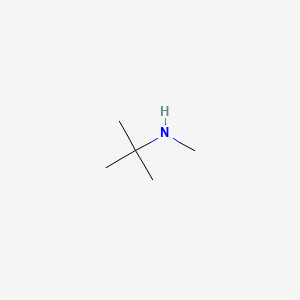 Chemical structure of N-tert-Butylmethylamine