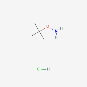 Chemical structure of O-tert-ButylhydroxylamineHydrochloride