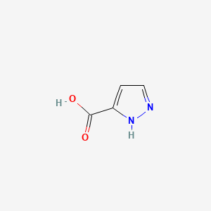 Chemical structure of Pyrazole-3-carboxylic Acid