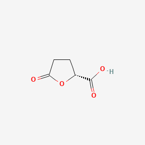 Chemical structure of (R)-(-)-5-Oxotetrahydrofuran-2-carboxylic Acid
