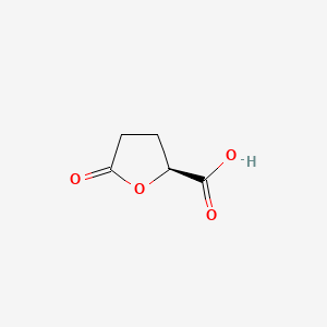 Chemical structure of (S)-(+)-5-Oxotetrahydrofuran-2-carboxylic Acid