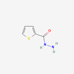 Chemical structure of Thiophene-2-carbohydrazide