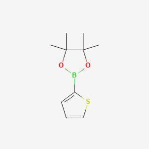 Chemical structure of Thiophene-2-boronic acid pinacol ester