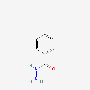 Chemical structure of 4-tert-Butylbenzhydrazide