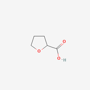 Chemical structure of Tetrahydrofuran-2-carboxylic Acid