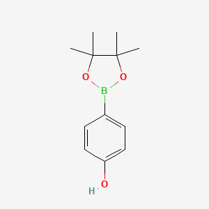 Chemical structure of 4-(4,4,5,5-Tetramethyl-1,3,2-dioxaborolan-2-yl)phenol