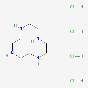 Chemical structure of 1,4,7,10-Tetraazacyclododecane Tetrahydrochloride