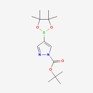 Chemical structure of 1-(tert-Butoxycarbonyl)-4-(4,4,5,5-tetramethyl-1,3,2-dioxaborolan-2-yl)pyrazole