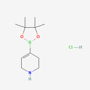 Chemical structure of 1,2,3,6-Tetrahydropyridine-4-boronic acid pinacol ester hydrochloride