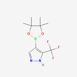 Chemical structure of 3-(Trifluoromethyl)-1H-pyrazole-4-boronic acid pinacol ester