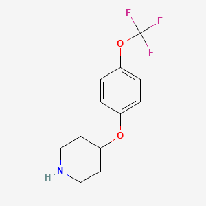 Chemical structure of 4-[4-(Trifluoromethoxy)phenoxy]piperidine