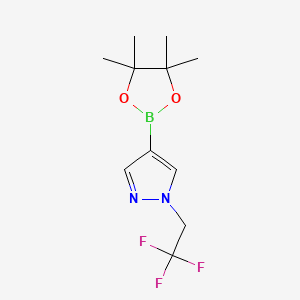 Chemical structure of 4-(tetramethyl-1,3,2-dioxaborolan-2-yl)-1-(2,2,2-trifluoroethyl)-1H-pyrazole