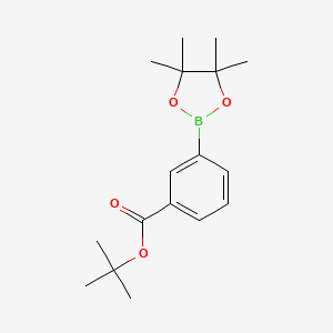 Chemical structure of 3-t-Butoxycarbonylphenylboronic acid, pinacol ester