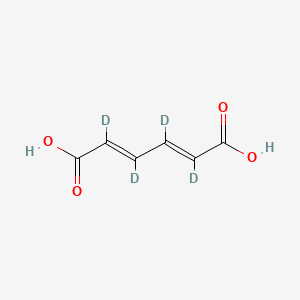 Chemical structure of trans,trans-Muconic Acid-d4