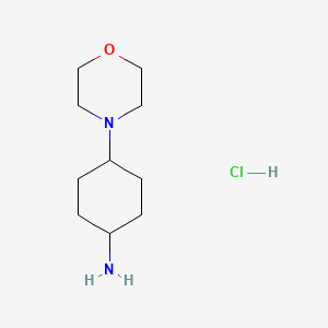 Chemical structure of trans-4-Morpholinocyclohexanamine hydrochloride
