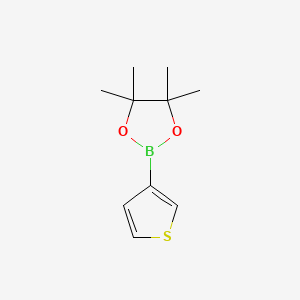 Chemical structure of Thiophene-3-boronic acid, pinacol ester