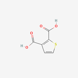 Chemical structure of Thiophene-2,3-Dicarboxylic Acid