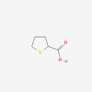 Chemical structure of Tetrahydrothiophene-2-carboxylic acid