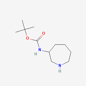 Chemical structure of Tert-butyl 3-azepanylcarbamate