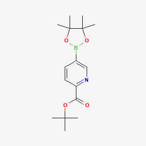 Chemical structure of tert-Butyl 5-(4,4,5,5-tetramethyl-1,3,2-dioxaborolan-2-yl)picolinate