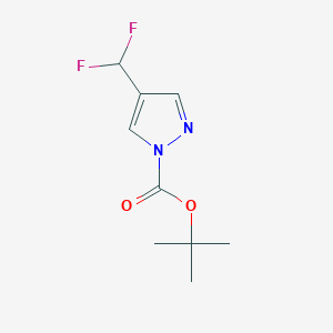 Chemical structure of tert-Butyl 4-(difluoromethyl)-1H-pyrazole-1-carboxylate