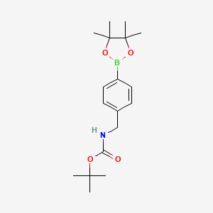Chemical structure of tert-Butyl 4-(4,4,5,5-tetramethyl-1,3,2-dioxaborolan-2-yl)benzylcarbamate