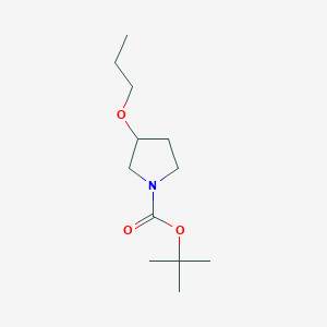 Chemical structure of tert-Butyl 3-propoxypyrrolidine-1-carboxylate