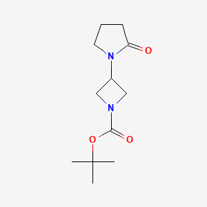 Chemical structure of tert-Butyl 3-(2-oxopyrrolidin-1-yl)azetidine-1-carboxylate