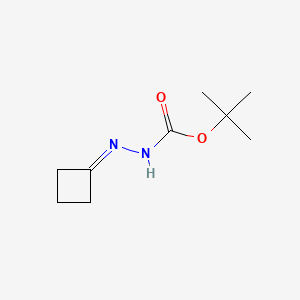 Chemical structure of tert-Butyl cyclobutylidenecarbazate
