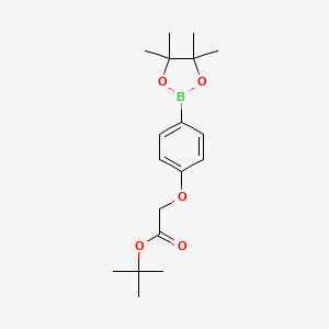 Chemical structure of tert-butyl 2-(4-(4,4,5,5-tetramethyl-1,3,2-dioxaborolan-2-yl)phenoxy)acetate