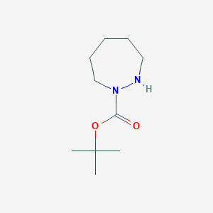 Chemical structure of tert-butyl 1,2-diazepane-1-carboxylate