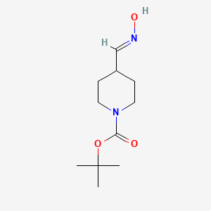 Chemical structure of Tert-butyl (E)-4-((hydroxyimino)methyl)piperidine-1-carboxylate