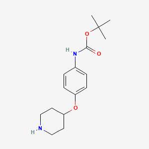 Chemical structure of tert-Butyl (4-(piperidin-4-yloxy)phenyl)carbamate