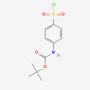 Chemical structure of tert-Butyl (4-(chlorosulfonyl)phenyl)carbamate