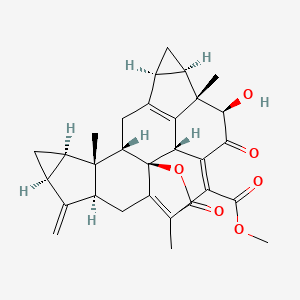 Chemical structure of Shizukaol A