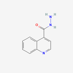 Chemical structure of Quinoline-4-carbohydrazide