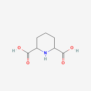 Chemical structure of 2,6-Piperidinedicarboxylic acid