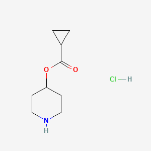 Chemical structure of Piperidin-4-yl cyclopropanecarboxylate hydrochloride