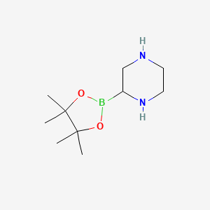 Chemical structure of Piperazine-2-boronic acid pinacol ester