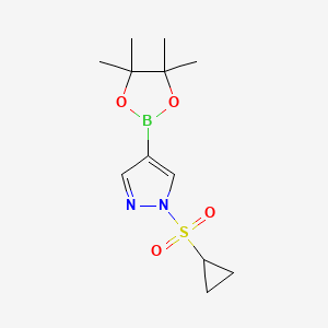 Chemical structure of Pinacol-1-(cyclopropane sulfonyl)-1h-pyrazole-4-boric acid pinacol ester