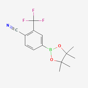 Chemical structure of Pinacol 4-cyano-3-trifluoromethyl phenylboronic acid