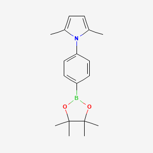Chemical structure of Pinacol 4-(2,5-dimethylpyrrole-1-yl) phenylboronic acid pinacol ester