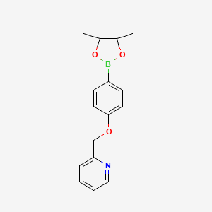 Chemical structure of Pinacol 4-((pyridine-2-yl) methoxy) phenylboronic acid pinacol ester