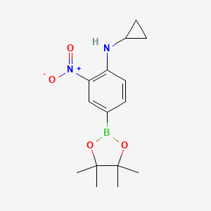 Chemical structure of Pinacol 3-nitro-4-cyclopropylaminophenylboronic acid