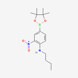 Chemical structure of Pinacol 3-nitro-4-(butylamino) phenylboronic acid