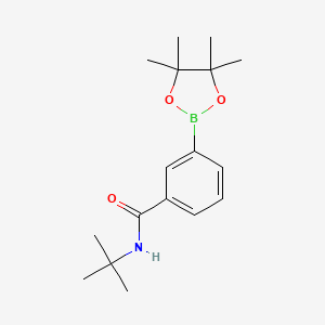Chemical structure of Pinacol 3-(tert butyl carbamoyl) benborate