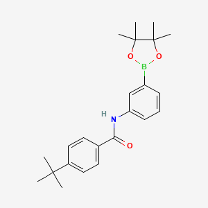 Chemical structure of Pinacol 3-(4-tert-butylphenylformamide)phenylboronic acid pinacol ester