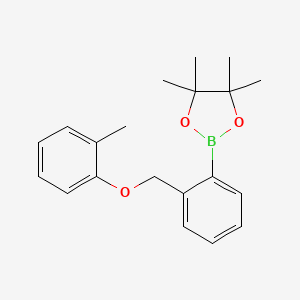 Chemical structure of Pinacol 2-(2-methylphenoxymethyl) phenylboronic acid pinacol ester