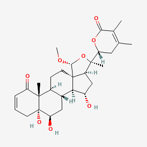 Chemical structure of Physaminimin D