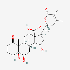 Chemical structure of Physaminimin C